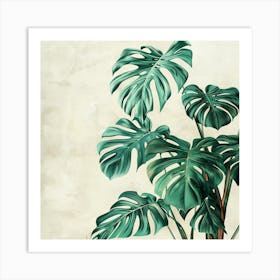 Monstera Plant Art Print