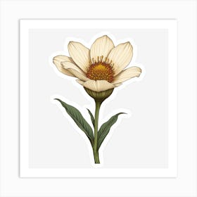 Dandelion Flower Art Print