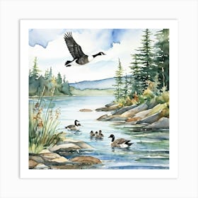 Canadian Geese 21 Art Print