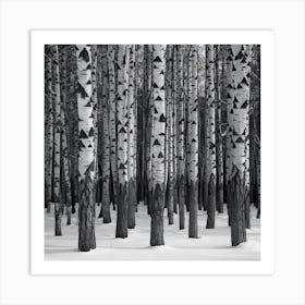 Birch Trees 4 Art Print