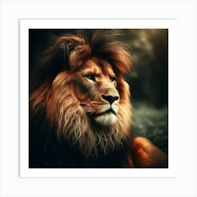 A powerful and majestic lion in its natural habitat2 Art Print