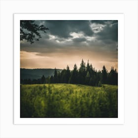 Sunset In The Forest Art Print