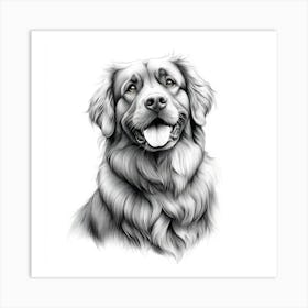 Leonberger 1 Art Print