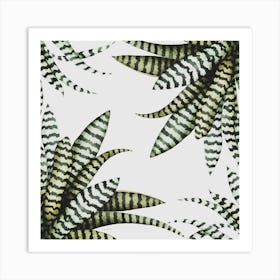 Bromeliad Art Print