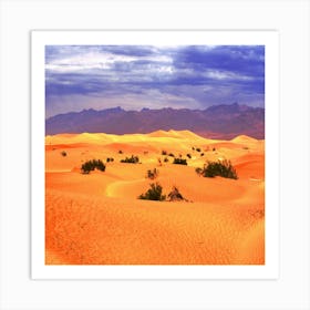 Sahara Desert Art Print