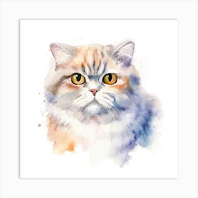 Scottish Fold Longhair Cat Portrait 3 Art Print