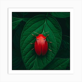 Red Beetle On Leaf Art Print