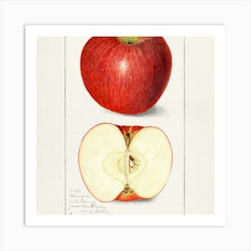 Apple Illustration Art Print