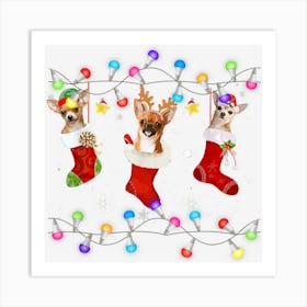 Santa Chihuahua Puppy Christmas Lights Socks Xmas Decor Art Print