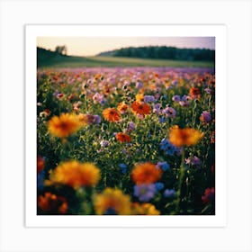 Field Of Flowers 1 Art Print