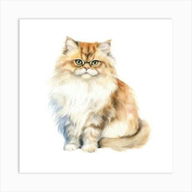 British Longhair Persian Cat Portrait Art Print