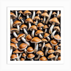 Mushrooms On A Black Background Art Print