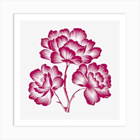 Peony Flower 2 Art Print