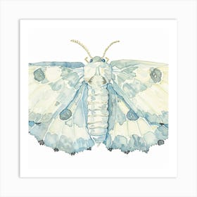 Blue Moth Art Print