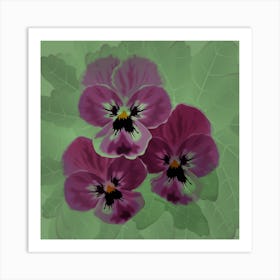 Three Lilac Viola Flowers With Green Leaves On A Green Background Art Print