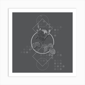 Vintage Pink Cabbage Rose Botanical with Line Motif and Dot Pattern in Ghost Gray Art Print