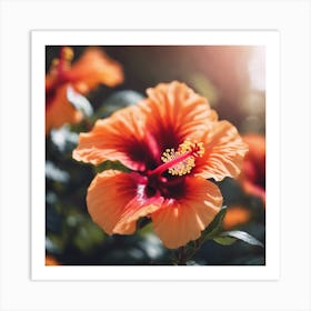 Hibiscus Flower Art Print