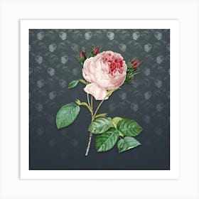 Vintage Centifolia Roses Botanical on Slate Gray Pattern n.2570 Art Print