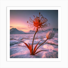 Flower In The Snow Art Print