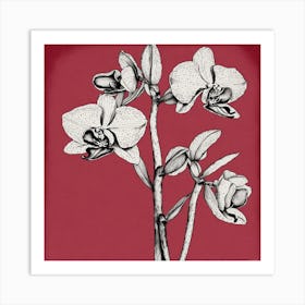 Orchids On A Red Background Art Print