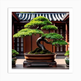 Bonsai Tree Art Print