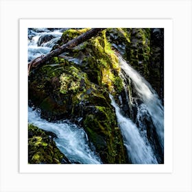 Sol Duc Falls Squarw Art Print