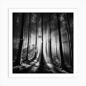 Dark Forest 23 Art Print