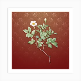Vintage Rosebush Botanical on Falu Red Pattern Art Print