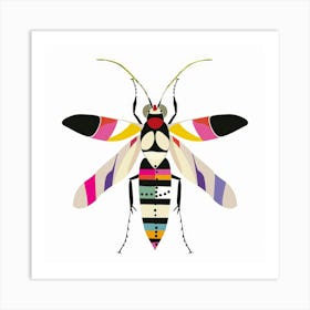 Beetle 63 Art Print