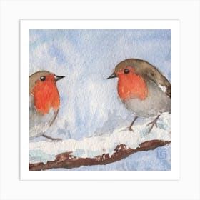 robin birds Art Print