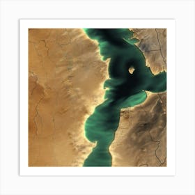 Satellite Image Of The Red Sea Art Print