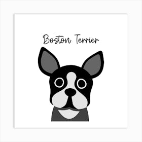 Boston Terrier Art Print