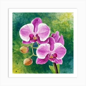 Orchids 10 Art Print