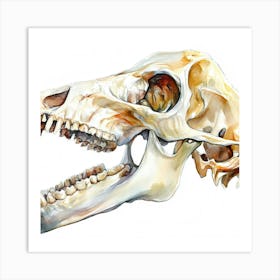 Wolf Skull Art Print