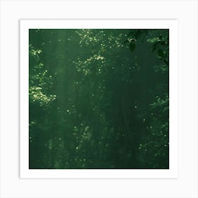 Girl In The Forest 1 Art Print