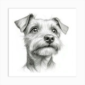 Lakeland Terrier Art Print