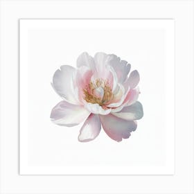 Peony Canvas Print Art Print