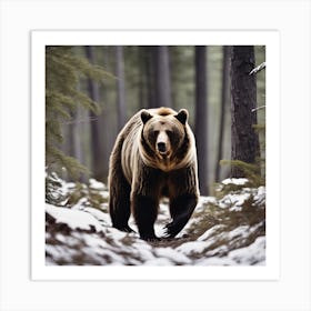 Grizzly Bear Art Print