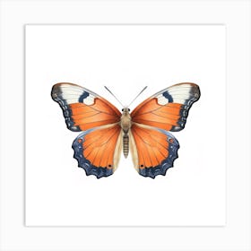 Butterfly 33 Art Print