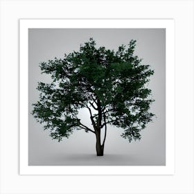 Tree 3d Model Art Print