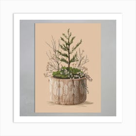 Pine Tree In Pot Art Print