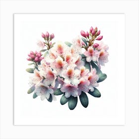 Flowers of Rhododendron Art Print