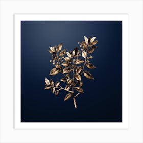 Gold Botanical Evergreen Oak on Midnight Navy n.2440 Art Print