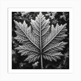 Winter leaf 1 Art Print