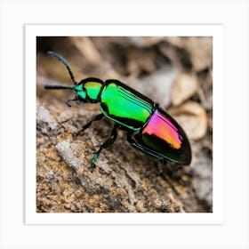 Beetle 34 Art Print