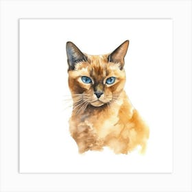 Burmese Champagne Cat Portrait 3 Art Print