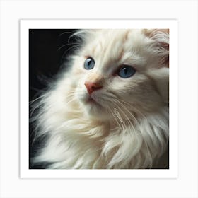 White Cat With Blue Eyes Art Print