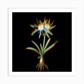 Prism Shift Streambank Spiderlily Botanical Illustration on Black Art Print