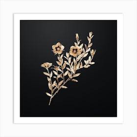 Gold Botanical Rosa Persica on Wrought Iron Black n.1000 Art Print