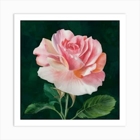 Pink Rose 13 Art Print